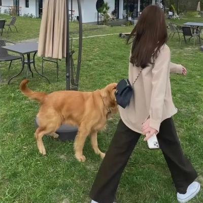 行骗天下
