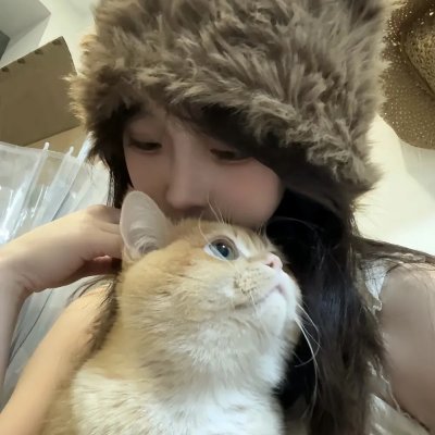 贵客光临